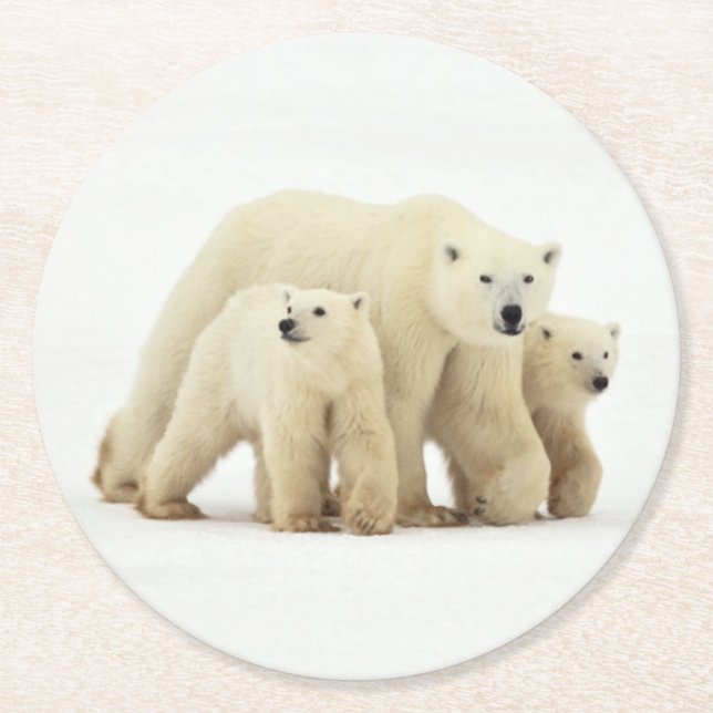 Cutest Baby Animals | Polar Bear Family Round Paper Coaster (Front)