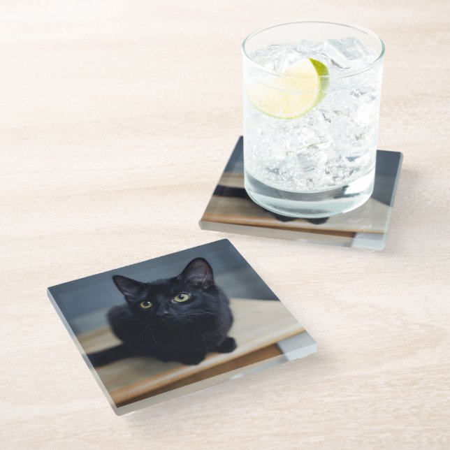 Cutest Baby Animals | Portrait of a Black Cat Glass Coaster (Angled)