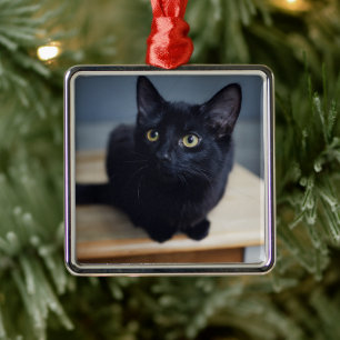 Cutest Baby Animals   Portrait of a Black Cat Metal Tree Decoration