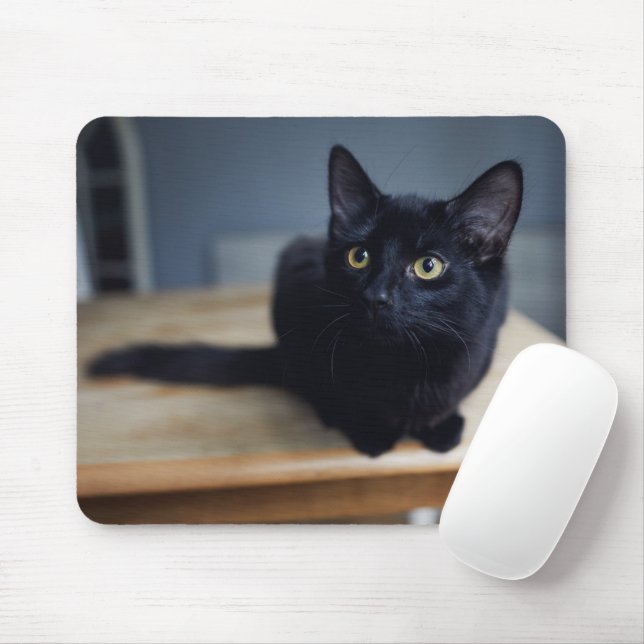 Cutest Baby Animals | Portrait of a Black Cat Mouse Mat (With Mouse)