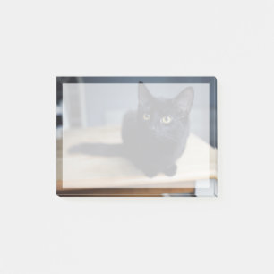 Cutest Baby Animals Portrait of a Black Cat Post-it Notes