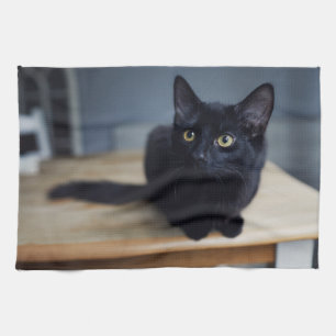 Cutest Baby Animals   Portrait of a Black Cat Tea Towel