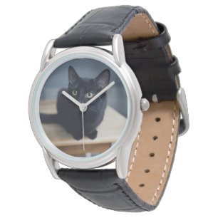 Cutest Baby Animals   Portrait of a Black Cat Watch