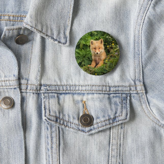 Cutest Baby Animals | Red Fox at Umnak Alaska 6 Cm Round Badge (In Situ)