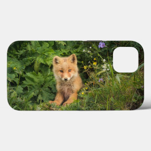 Cutest Baby Animals Red Fox at Umnak Alaska iPhone 13 Case