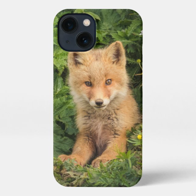 Cutest Baby Animals | Red Fox at Umnak Alaska iPhone Case (Back)