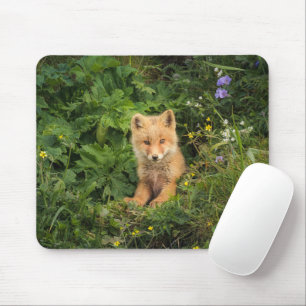 Cutest Baby Animals Red Fox at Umnak Alaska Mouse Mat