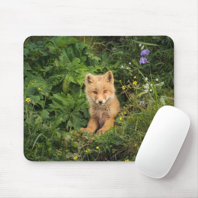 Cutest Baby Animals | Red Fox at Umnak Alaska Mouse Mat (With Mouse)