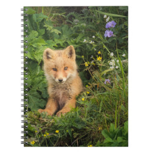 Cutest Baby Animals Red Fox at Umnak Alaska Notebook