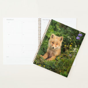 Cutest Baby Animals Red Fox at Umnak Alaska Planner