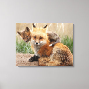 Cutest Baby Animals Red Fox & Baby Canvas Print