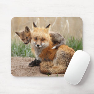 Cutest Baby Animals   Red Fox & Baby Mouse Mat