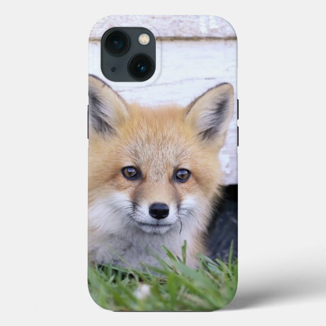 Cutest Baby Animals | Red Fox Kit Peeking Case-Mate iPhone Case (Back)
