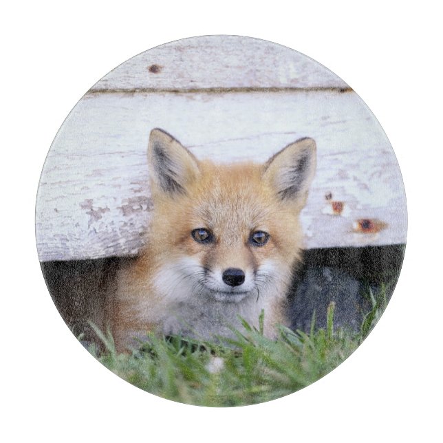 Cutest Baby Animals | Red Fox Kit Peeking Cutting Board (Front)