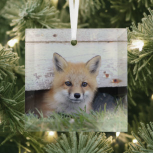 Cutest Baby Animals Red Fox Kit Peeking Glass Tree Decoration