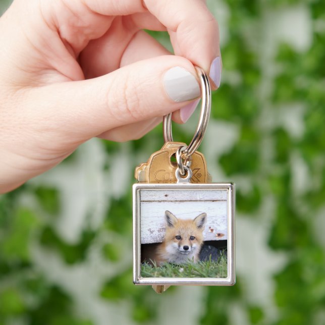 Cutest Baby Animals | Red Fox Kit Peeking Key Ring (Hand)