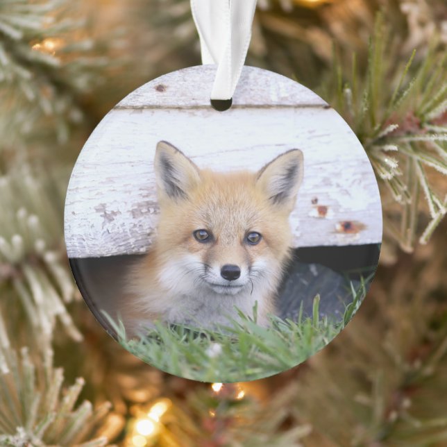 Cutest Baby Animals | Red Fox Kit Peeking Ornament (Tree)