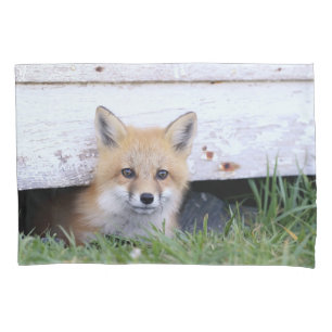 Cutest Baby Animals   Red Fox Kit Peeking Pillowcase