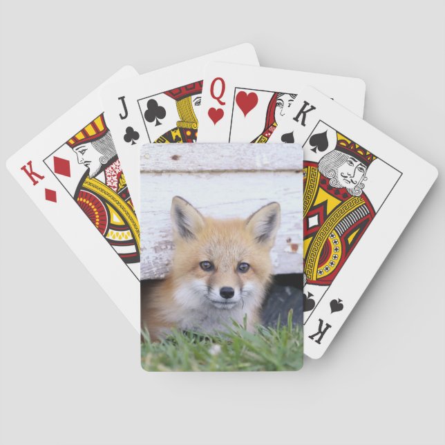 Cutest Baby Animals | Red Fox Kit Peeking Playing Cards (Back)
