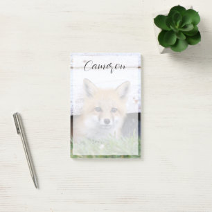 Cutest Baby Animals   Red Fox Kit Peeking Post-it Notes