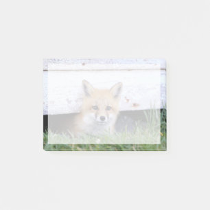 Cutest Baby Animals Red Fox Kit Peeking Post-it Notes