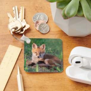 Cutest Baby Animals   Red Fox Kit Relaxing Key Ring