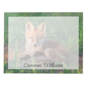Cutest Baby Animals   Red Fox Kit Relaxing Notepad