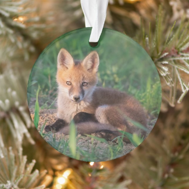 Cutest Baby Animals | Red Fox Kit Relaxing Ornament (Tree)