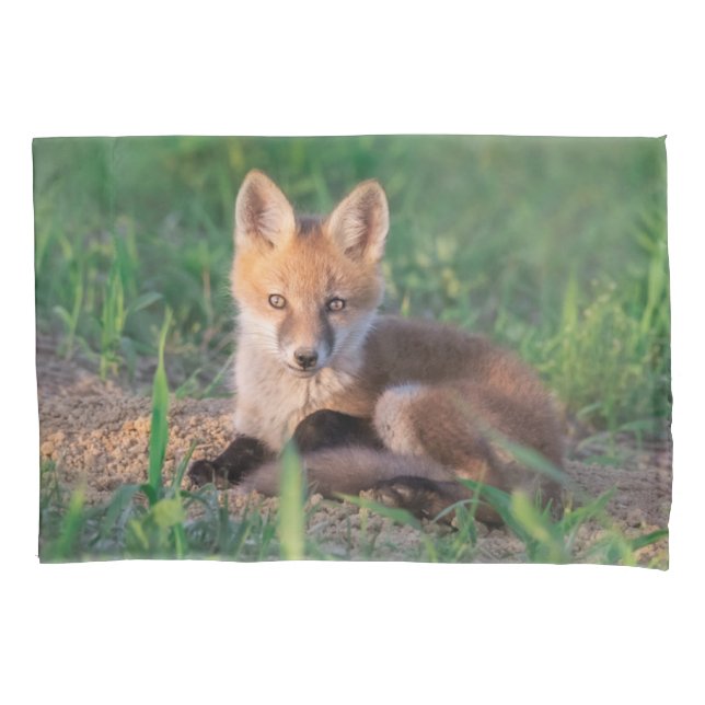 Cutest Baby Animals | Red Fox Kit Relaxing Pillowcase (Front)
