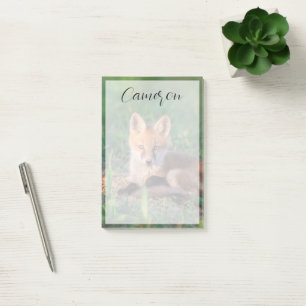 Cutest Baby Animals   Red Fox Kit Relaxing Post-it Notes