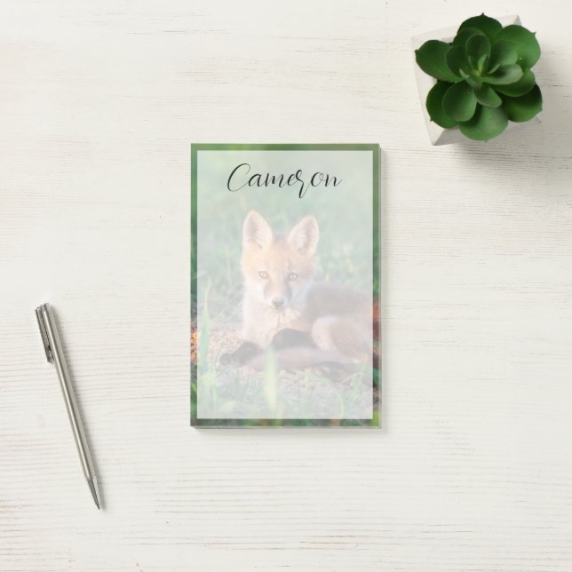 Cutest Baby Animals | Red Fox Kit Relaxing Post-it Notes (Office)