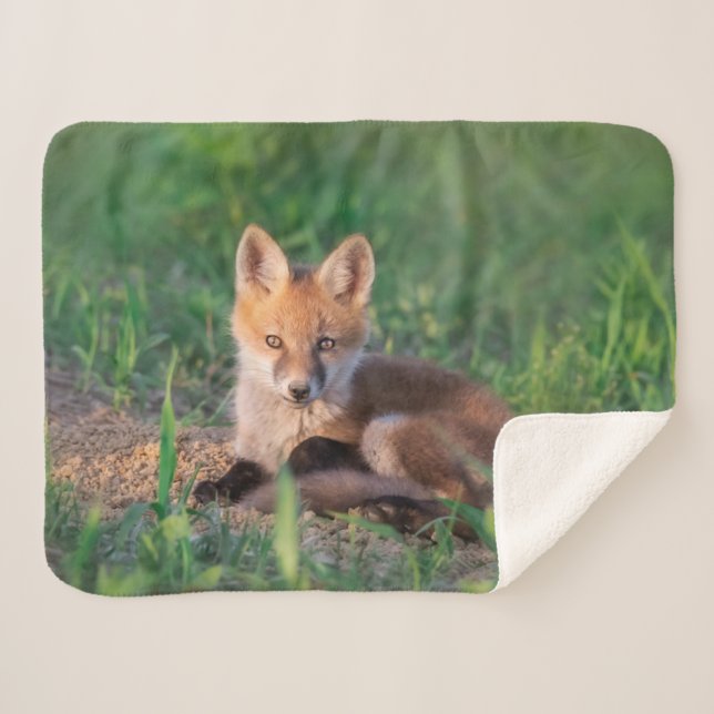 Cutest Baby Animals | Red Fox Kit Relaxing Sherpa Blanket (Front (Horizontal))