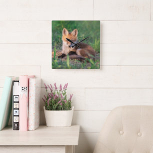 Cutest Baby Animals   Red Fox Kit Relaxing Square Wall Clock