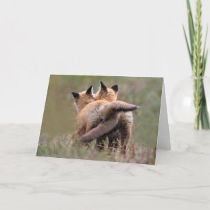 Cutest Baby Animals Red Fox Kits Locking Tails Card