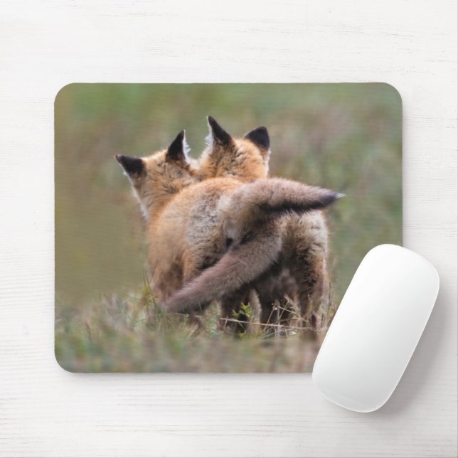 Cutest Baby Animals | Red Fox Kits Locking Tails Mouse Mat (With Mouse)