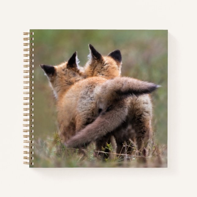 Cutest Baby Animals | Red Fox Kits Locking Tails Notebook (Front)