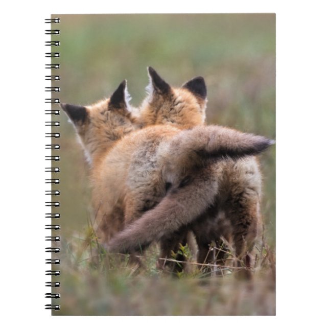 Cutest Baby Animals | Red Fox Kits Locking Tails Notebook (Front)