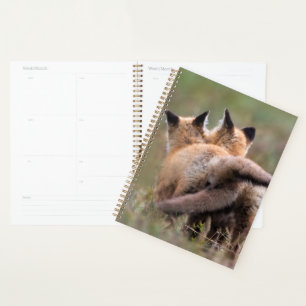 Cutest Baby Animals Red Fox Kits Locking Tails Planner