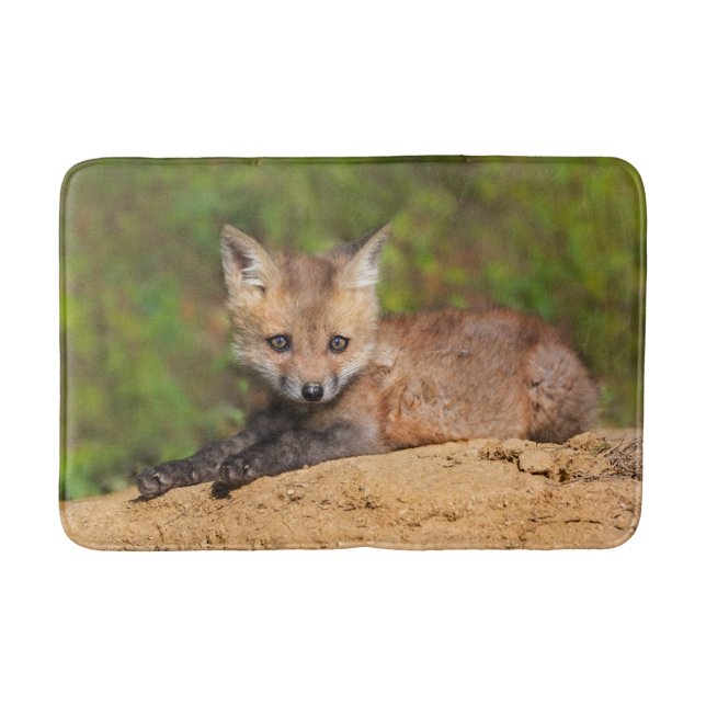 Cutest Baby Animals | Red Fox Pup Bath Mat (Front)
