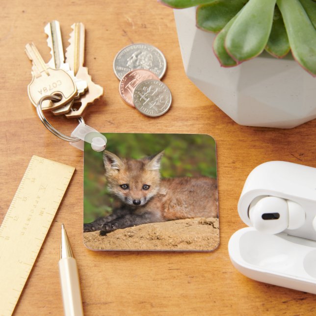 Cutest Baby Animals | Red Fox Pup Key Ring (Desk)