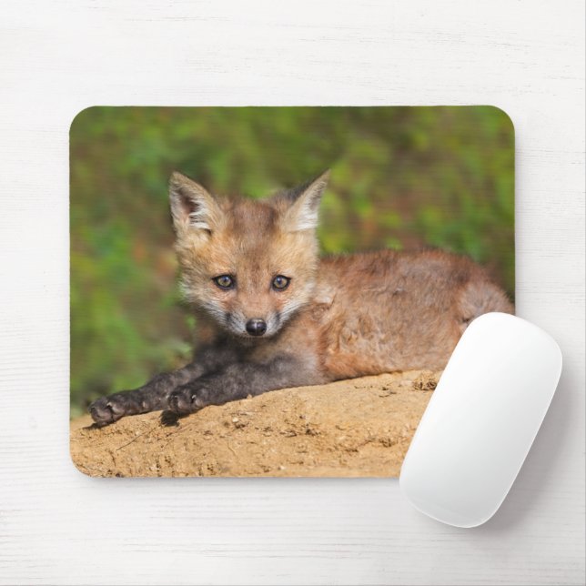 Cutest Baby Animals | Red Fox Pup Mouse Mat (With Mouse)