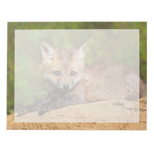 Cutest Baby Animals   Red Fox Pup Notepad