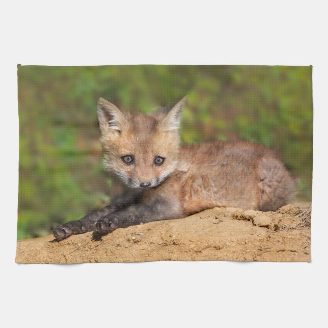 Cutest Baby Animals | Red Fox Pup Tea Towel (Horizontal)