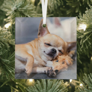 Cutest Baby Animals Red-haired Chihuahua Dog Glass Tree Decoration