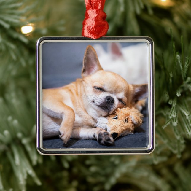 Cutest Baby Animals | Red-haired Chihuahua Dog Metal Tree Decoration (Tree)