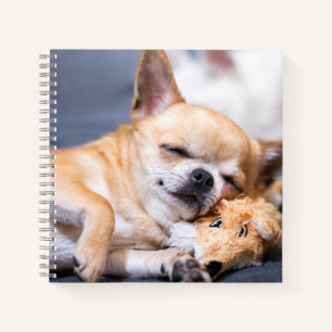 Cutest Baby Animals   Red-haired Chihuahua Dog Notebook