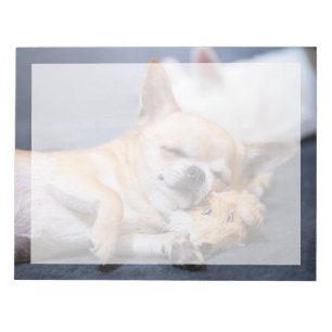 Cutest Baby Animals   Red-haired Chihuahua Dog Notepad