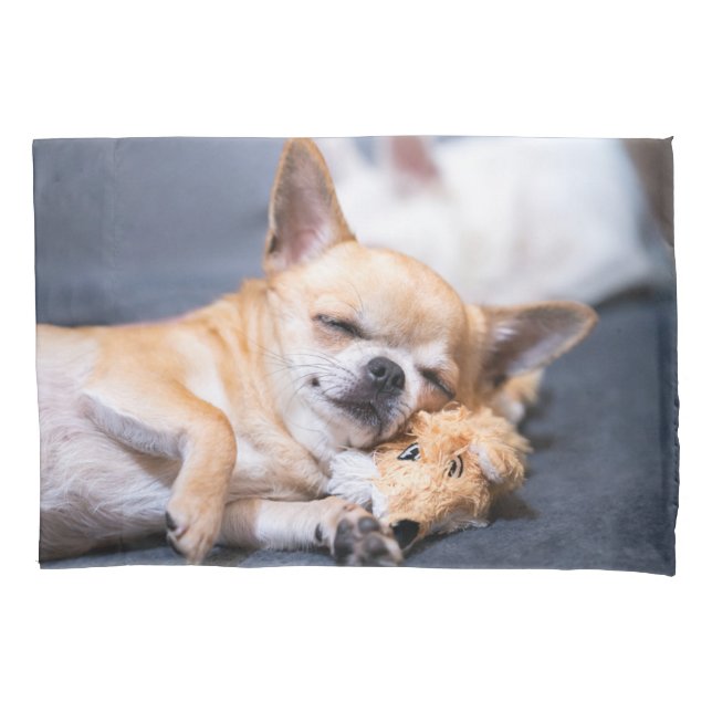 Cutest Baby Animals | Red-haired Chihuahua Dog Pillowcase (Front)