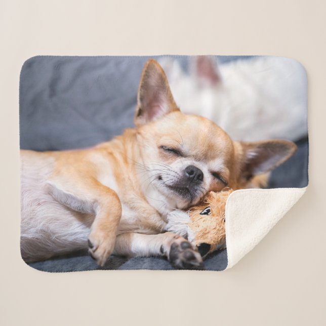 Cutest Baby Animals | Red-haired Chihuahua Dog Sherpa Blanket (Front (Horizontal))