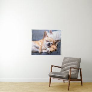 Cutest Baby Animals Red-haired Chihuahua Dog Tapestry